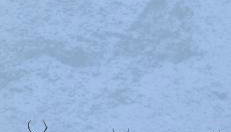 Ben Nevis Manor Lodge & Indoor Private Hot-Tub - Foto 3