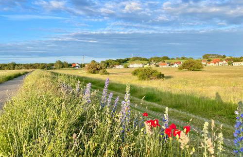 Haus Concordia 2 Möwennest - Foto 50