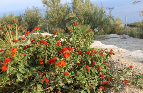 Villa Bianca - Foto 13