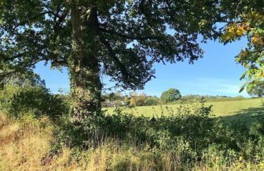 Characterful, Cosy Dartmoor Cottage - Foto 34