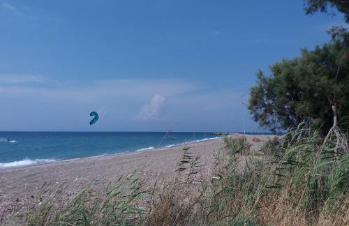 Stan&Family - Foto 56