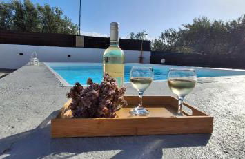 Το σπιτι του μελισσοκομου - Foto 5