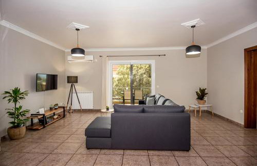 Aristotelis Apartment Lakithra-Alexandra - Foto 3