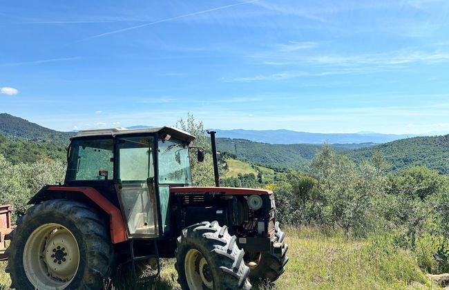 Cottage With Swimming Pool - Photo 35