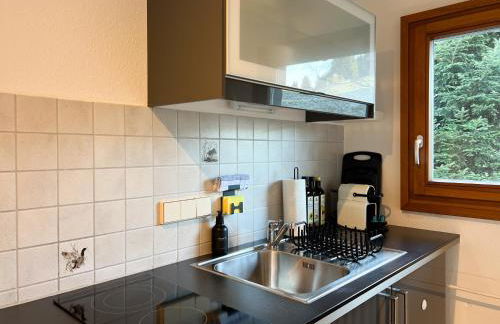 Villa Hubertus - Ferienwohnungen am Feldberg - Foto 34