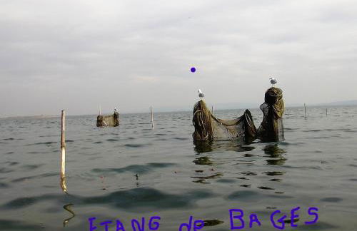 Chez Odile - Foto 24