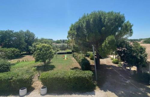 Gites les oliviers - Foto 2