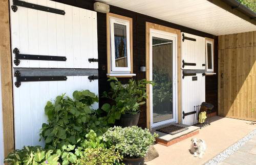 TVF Stable Suites - Foto 18