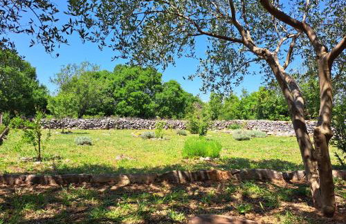 The Old Stone House Dida Jure - Foto 37