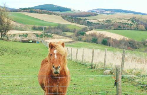 Lettoch Farm Holiday Home - Foto 13