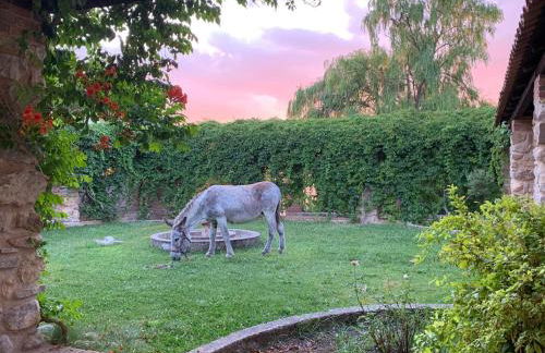 Giardino Donna Lavia - Foto 14