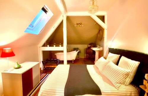 LA VILLA DES OISEAUX - La Petite Pierre - Foto 49