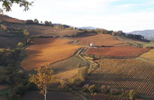 Il Melograno House - Foto 28