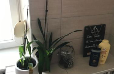 Côté Rive, au bord de la rivière La Moselotte et terrasse - Foto 36