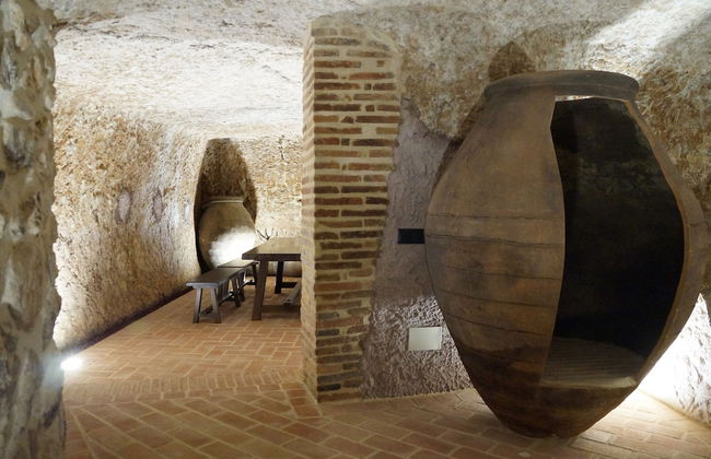 Casas de Valois - Photo 40