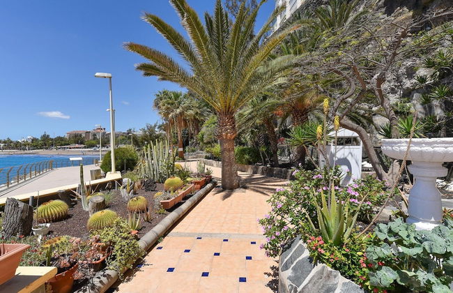 Studio in Gran Canaria Near Golden Beaches - Foto 21