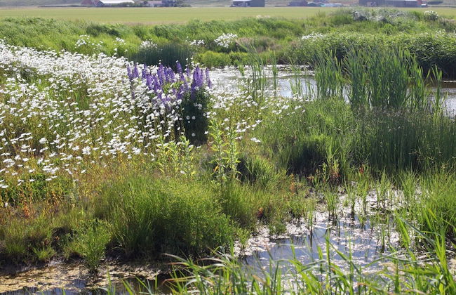 Single Storey Lodge With Dishwasher, Near the Beach - Foto 24