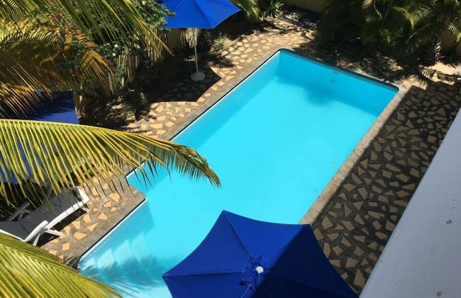 Faisan Dore - Photo 11