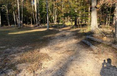 Quiet Forest Vacation home on a Private Road with Spacious Patios, Fire pit, Pet friendly and a Private pool - Foto 29