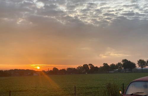 Mühlenurlaub Südheide - Foto 15