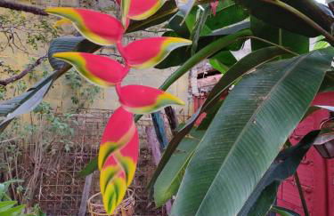 Hostel Trem Di Durmi - Photo 34