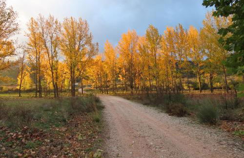 Casa rural LAS TABLAS - Foto 24