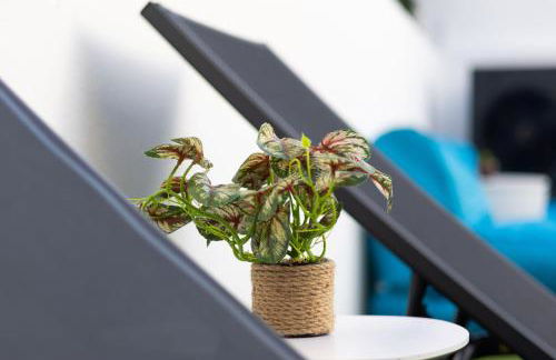 Casa Férias com Piscina Aquecida e Suítes Privadas - Foto 4