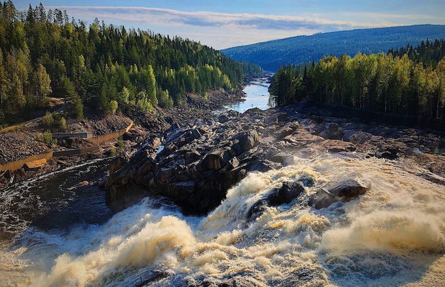 Vildmarks Lodge - Photo 23