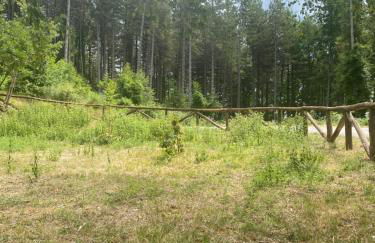 The orange house - Foto 37