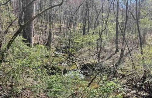 Hilltop Haven w/Creek&Waterfall Dntwn McCaysville - Photo 24