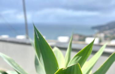 Villa Cassolino - Photo 10