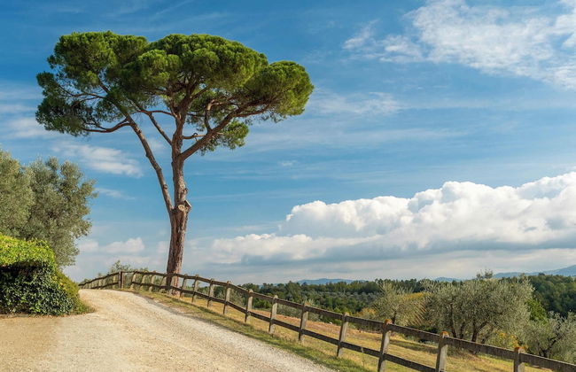 Fattoria la Loggia - Foto 36