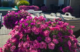 Apartamenty Polanki 2 - Sauna, Jacuzzi, Podgrzewany Basen - Foto 60