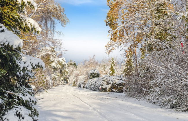 "Jouni" - 500m from the sea - Foto 4