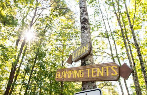 The Cliffside Cabin - Stunning Views in Red River Gorge - Foto 63