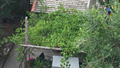 Appartamento vacanze "Borgo Cinque Terre" Volastra Manarola - Foto 3