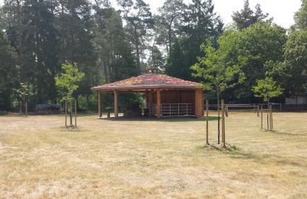 "Ferien Nord-Nordost" Wooster Teerofen "Am Walde" Ferienhaus Komfort - Foto 16