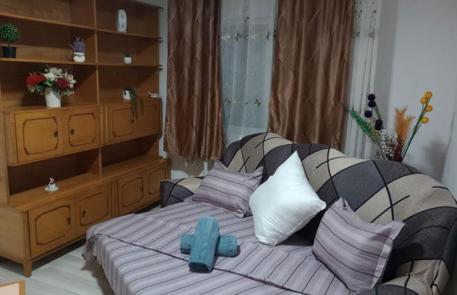 Apartament Iosif House RGR 1 - Photo 4