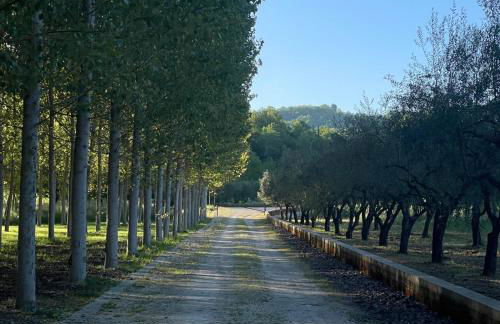 Family Farm Soc. Agr. a r.l. - Foto 16