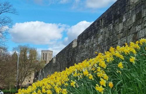 The Old Chapel York - Foto 39