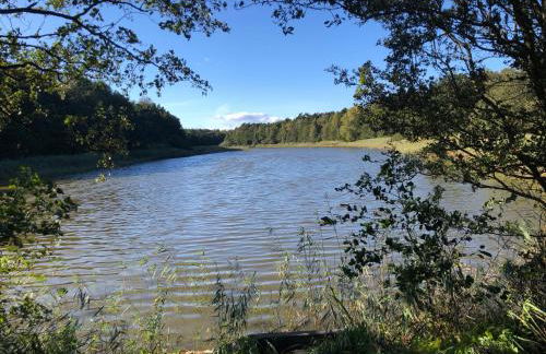 Prerow „Seaside“-strandnah! - Foto 33