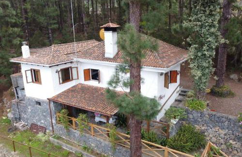 Floral garden house - Foto 4