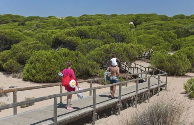 Leo Punta Umbria - Foto 68