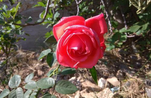 PALACE Mountain view - Foto 20