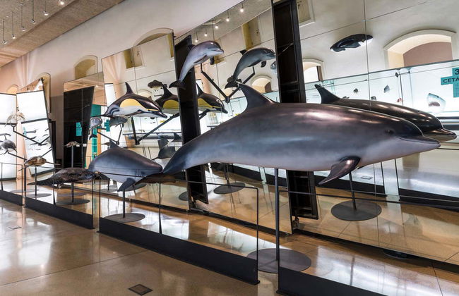 MUNA Museum Tickets + Teide National Park Audio Guide - Foto 4