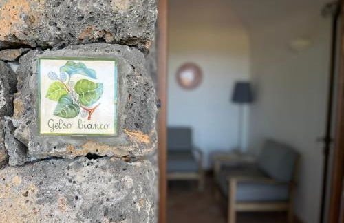 Dammusi I Jardina - Foto 65