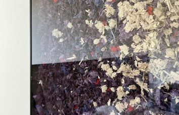 4Venice Malcontenta - Foto 21