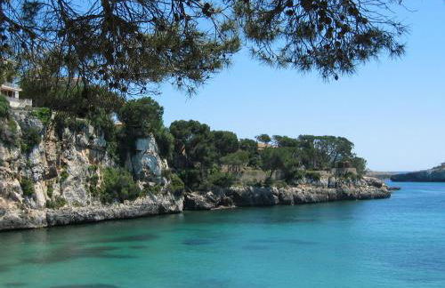 Finca Son Blat - Photo 51