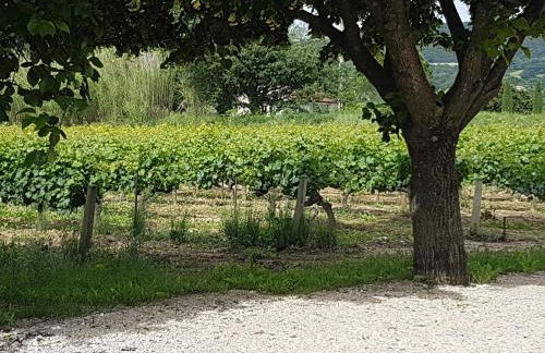 Gite Les Lavandes - Photo 17