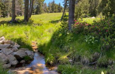 STUDIO LA POULE AU POT pieds des pistes font Romeu Pyrénées 2000 - Foto 25